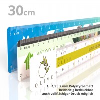 reduction scale ruler plastic white matt 30 cm