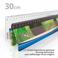Kunststofflineal 30 cm transparent