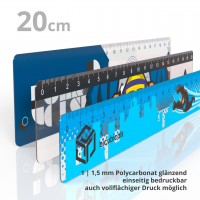 plastic ruler 20 cm transparent