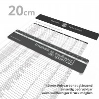 reading ruler 20 cm